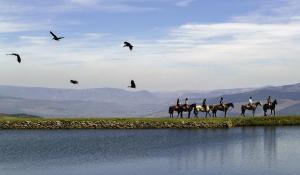 Horse Riding, riders passing a dam