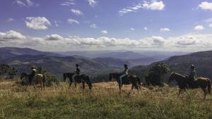 Horse Riding Landscape