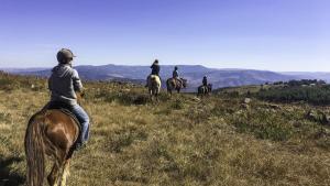 Horse Riding