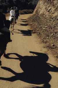 Horse Riders and shadow