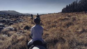Horse Riding
