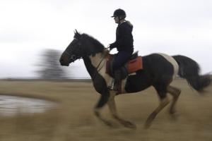 Horse Rider in motion