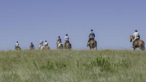 Horse Riders on the plain